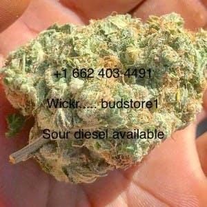 budstore4200's LeafedOut Profile