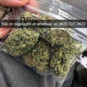 weedfather420's LeafedOut Profile