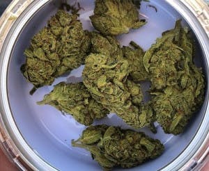 Weed4sale30's LeafedOut Profile