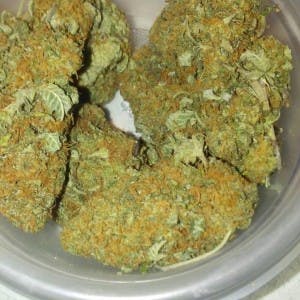 Bud4sale135's LeafedOut Profile