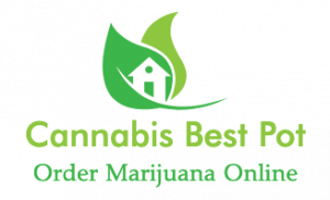 cannabisbestpot's LeafedOut Profile