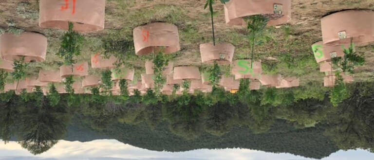Cover Photo
