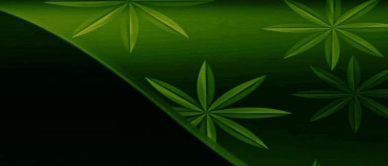 Cover Photo