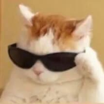 WestonToker20's LeafedOut Profile