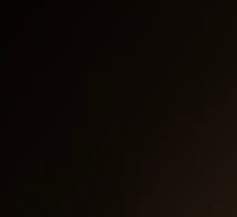 Tayedc420's LeafedOut Profile