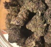 Ar15's LeafedOut Profile