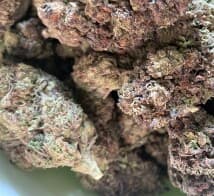 ManGreen22's LeafedOut Profile