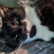 jenny833's LeafedOut Profile