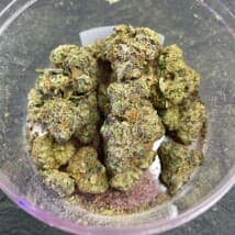 Zurich's LeafedOut Profile