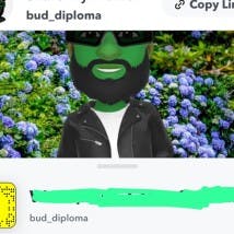 Buddiploma's LeafedOut Profile