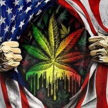 Mountainstoner's LeafedOut Profile