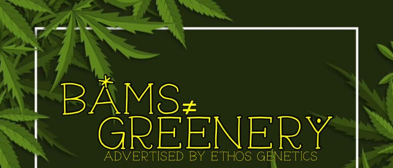 Cover Photo