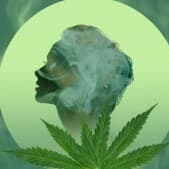 MissGreen2's LeafedOut Profile