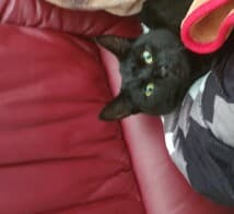 Kiaanaap444's LeafedOut Profile