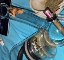 Bakersdozen99's LeafedOut Profile