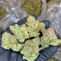 Eliotj's LeafedOut Profile