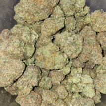 Fastlane509's LeafedOut Profile