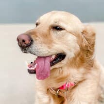 Hairofthedog's LeafedOut Profile