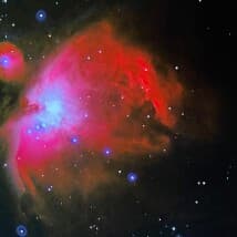 Medusa420's LeafedOut Profile