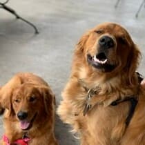 TheMcBarkingtons's LeafedOut Profile