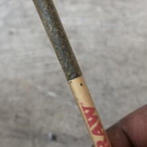 sdamyth's LeafedOut Profile