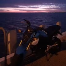 GRomrida's LeafedOut Profile