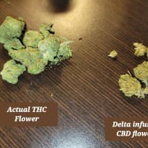 NovaHova's LeafedOut Profile