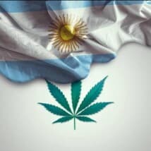 Cumbia420Negros's LeafedOut Profile