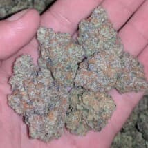 harris164's LeafedOut Profile