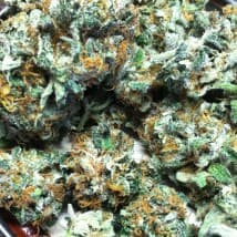 Anthony1234's LeafedOut Profile