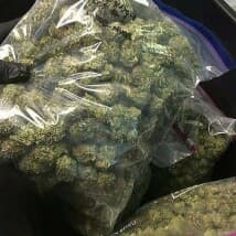 marcus395's LeafedOut Profile