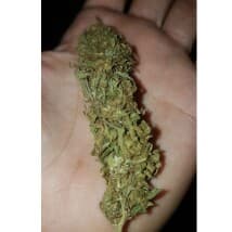 DeepakSingh's LeafedOut Profile