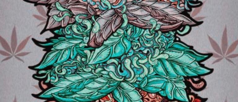 Cover Photo