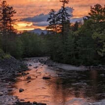 cynthia966's LeafedOut Profile