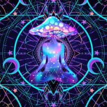 Itsnotme's LeafedOut Profile