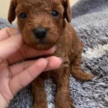 Eddywill8's LeafedOut Profile