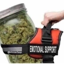 Funkdoobiest's LeafedOut Profile