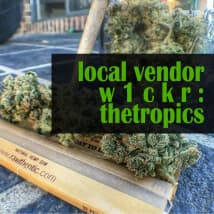 thetropics's LeafedOut Profile