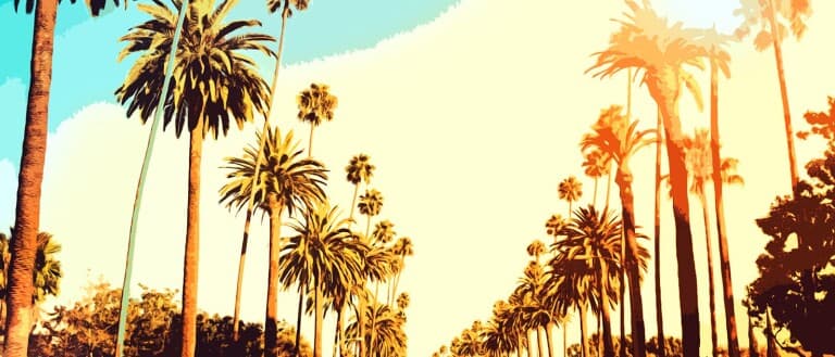 Cover Photo