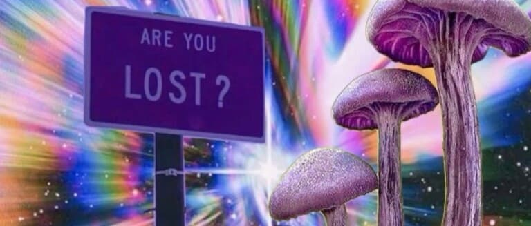 Cover Photo