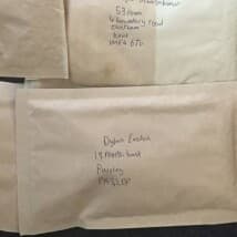 Dabbygranny's LeafedOut Profile