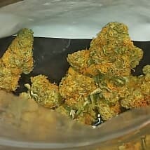 Jasongreen90's LeafedOut Profile