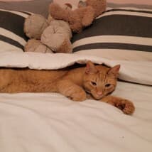 greenbunnies's LeafedOut Profile