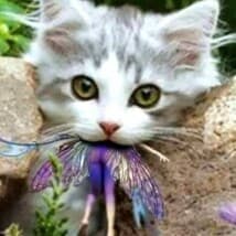 aXelhh's LeafedOut Profile