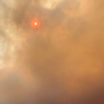 DayOne's LeafedOut Profile