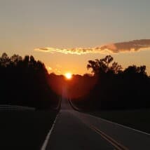 stumblingzombie's LeafedOut Profile