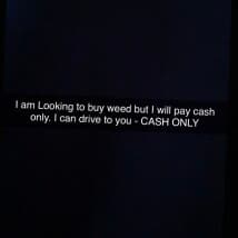 Nellken's LeafedOut Profile