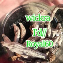 Gazes's LeafedOut Profile