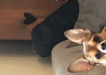 BullMurray's LeafedOut Profile