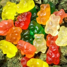 pinkola3k's LeafedOut Profile